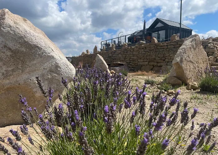 Moon Hill's Lord Apartment